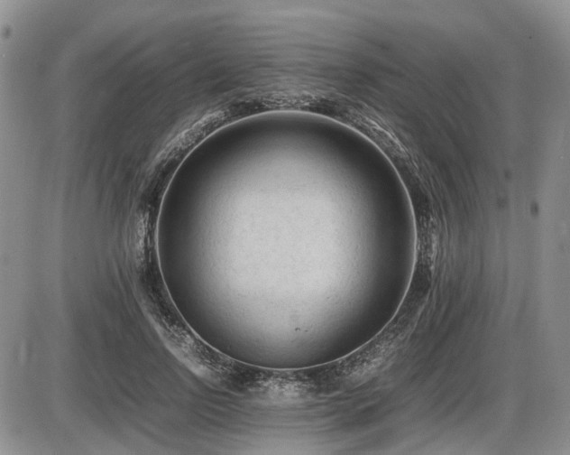 X0000086060742200703231241
