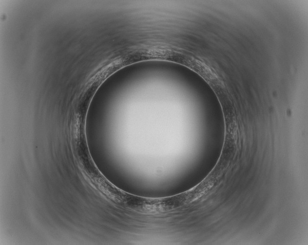 X0000086060744200703231241