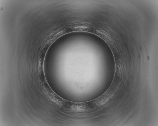 X0000086060745200703231241