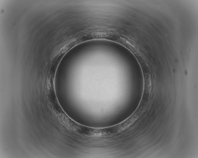 X0000086060746200703231241