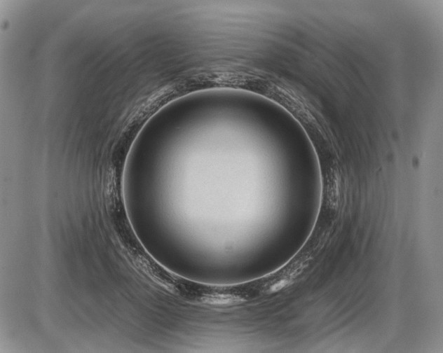 X0000086060748200703231241