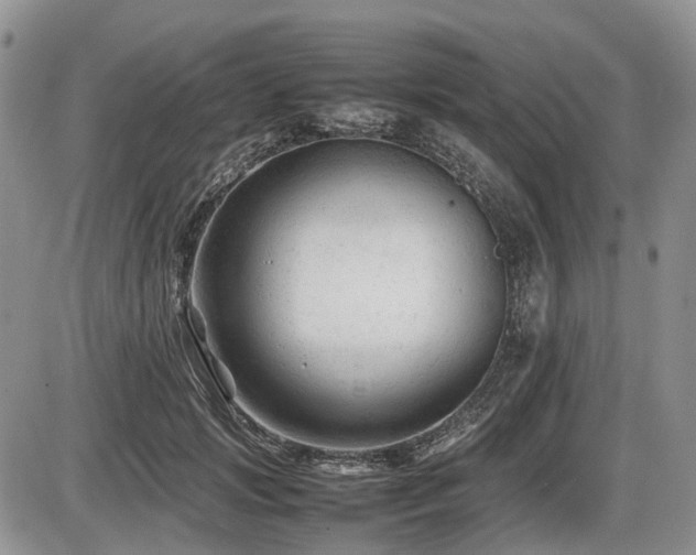 X0000086060749200703231241