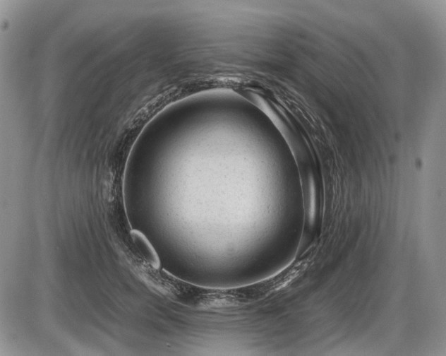 X0000086060750200703231241