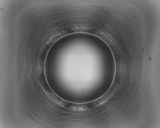 X0000086060751200703231241