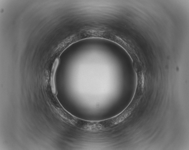 X0000086060752200703231241
