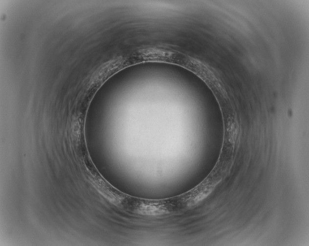 X0000086060753200703231241