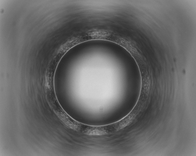X0000086060755200703231241