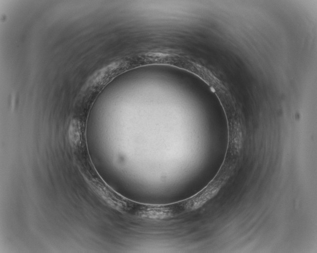 X0000086060758200703231241