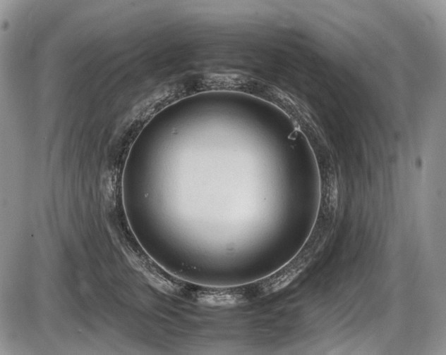 X0000086060759200703231241