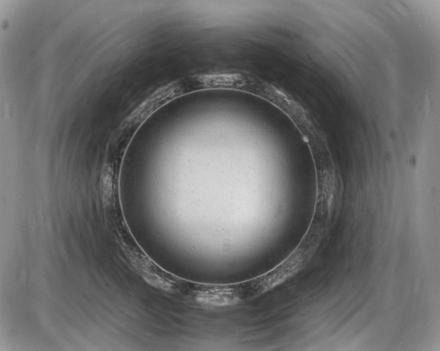 X0000086060761200703231241