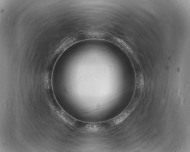 X0000086060764200703231241
