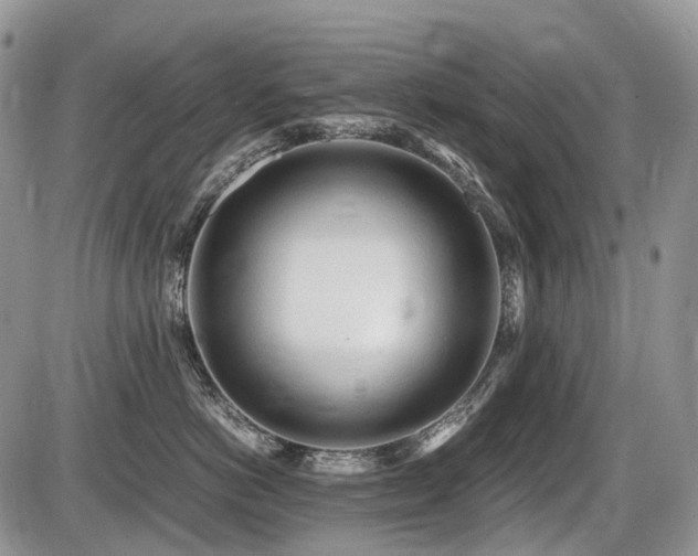 X0000086060766200703231241