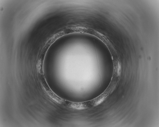X0000086060767200703231241