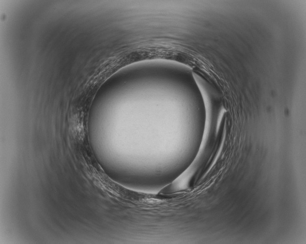 X0000086060771200703231241