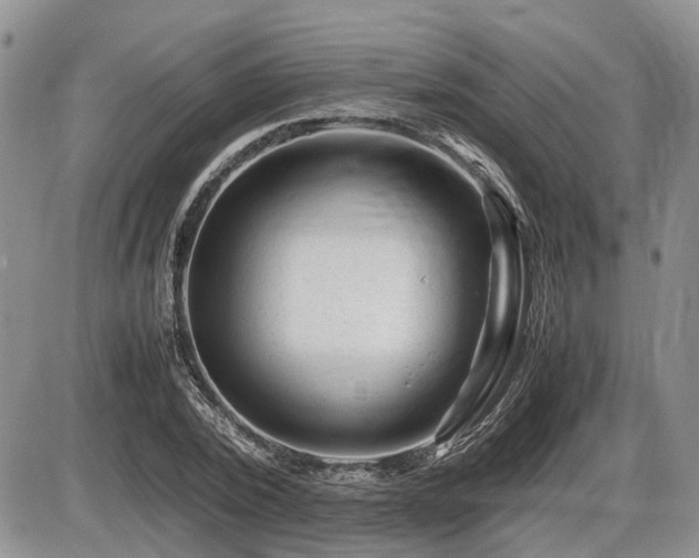 X0000086060784200703231240