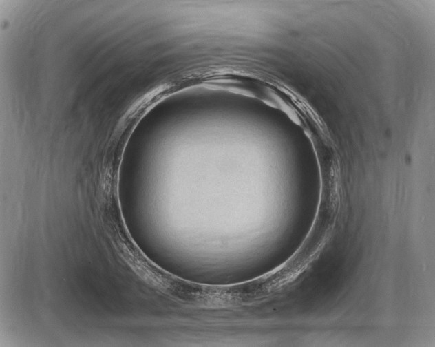 X0000086060785200703231240