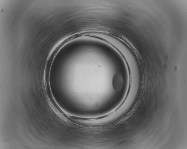 X0000086060788200703231240