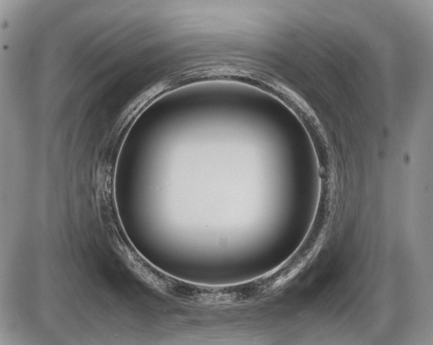 X0000086060793200703231240