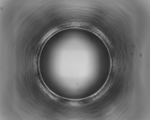 X0000086060794200703231240