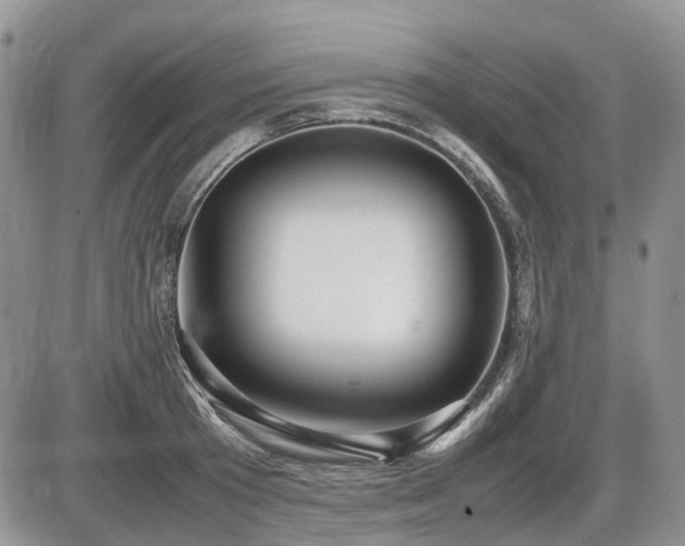 X0000086060801200703231240