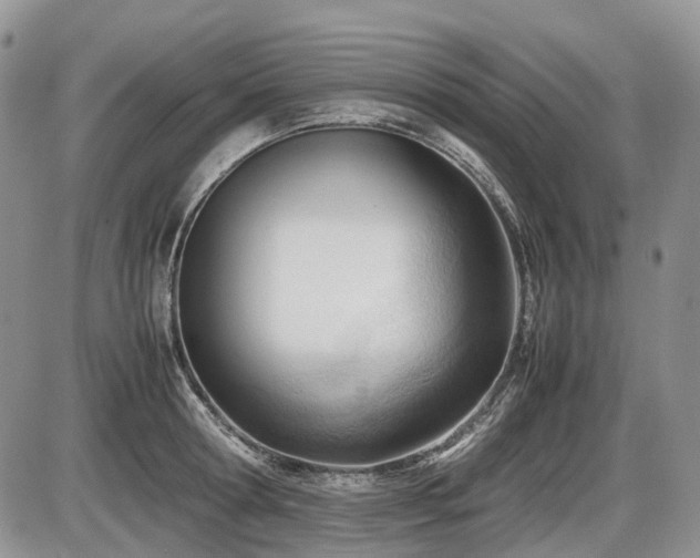 X0000086060802200703231240
