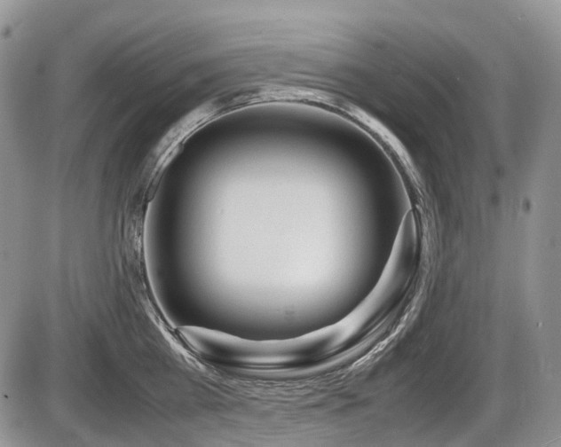 X0000086060809200703231240