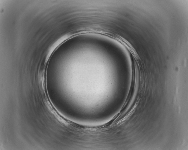 X0000086060812200703231240