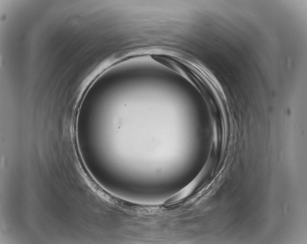 X0000086060813200703231240