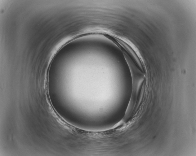 X0000086060815200703231240
