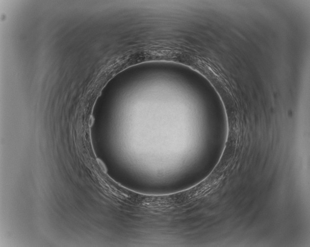 X0000086060817200703231239