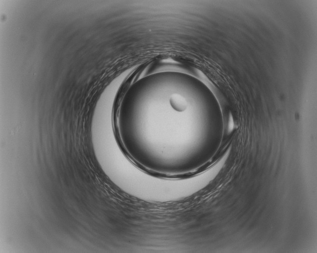 X0000086060818200703231239