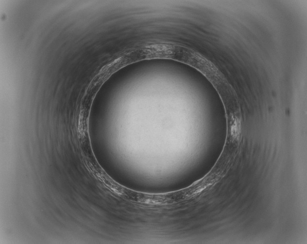 X0000086060819200703231239