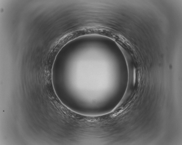 X0000086060822200703231239