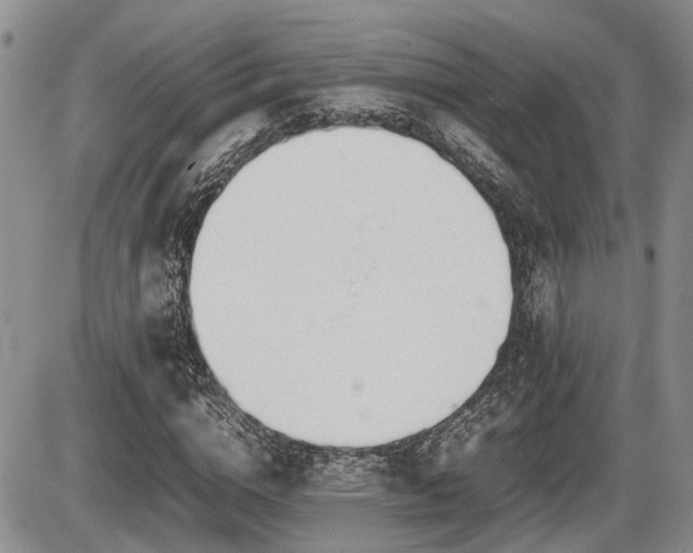 X0000086060824200703231239