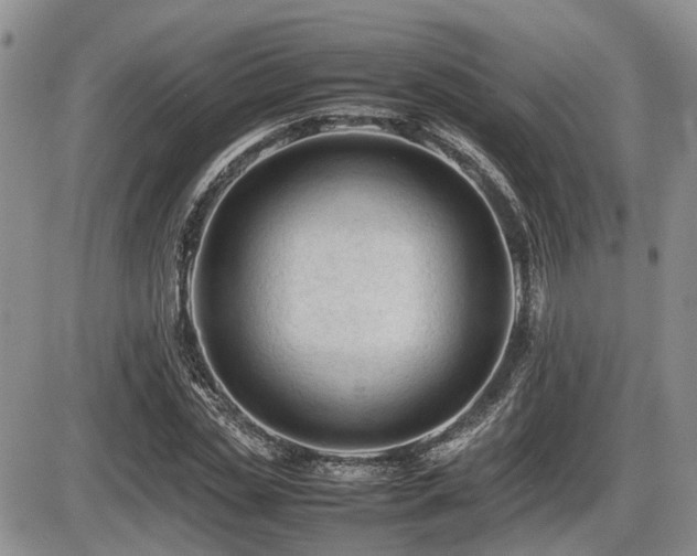 X0000086060829200703231239