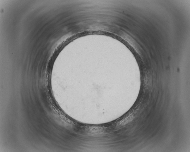 X0000086060832200703231239