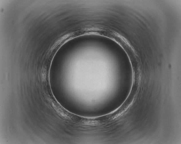 X0000086060833200703231239