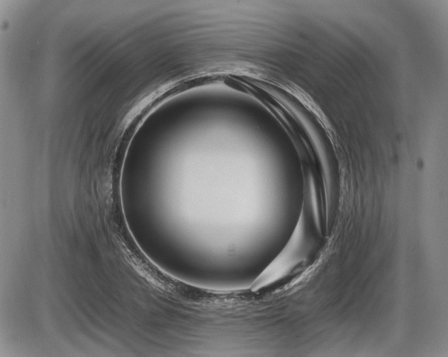 X0000086060834200703231239