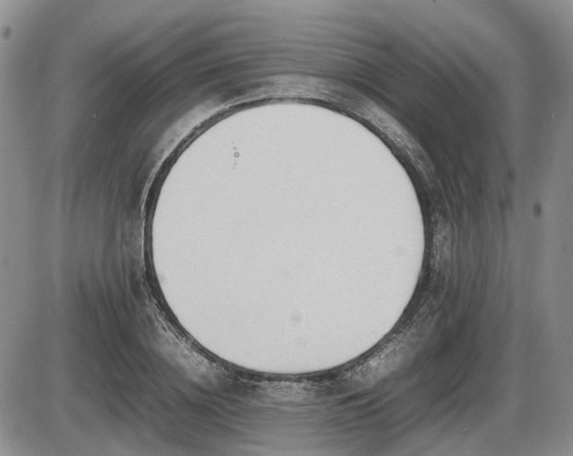 X0000086060836200703231239