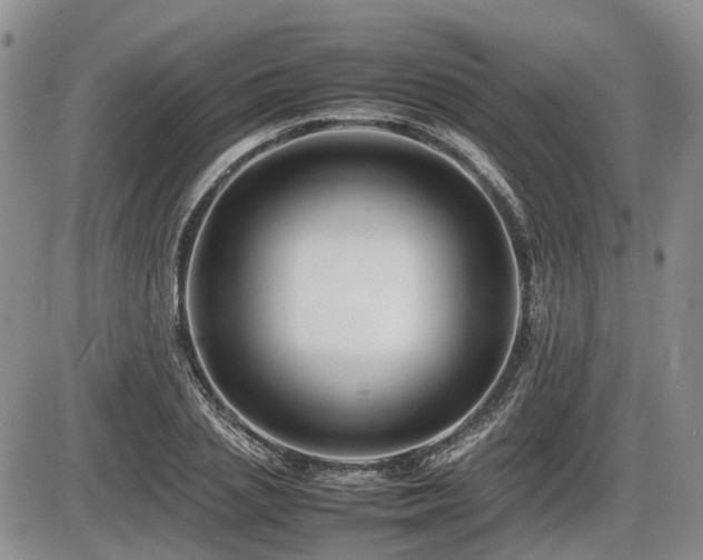 X0000086060837200703231239