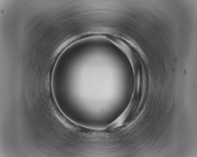 X0000086060842200703231239