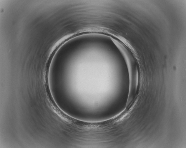 X0000086060846200703231239