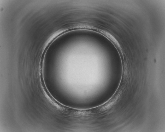 X0000086060847200703231240