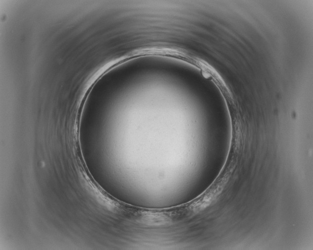 X0000086060852200703231240
