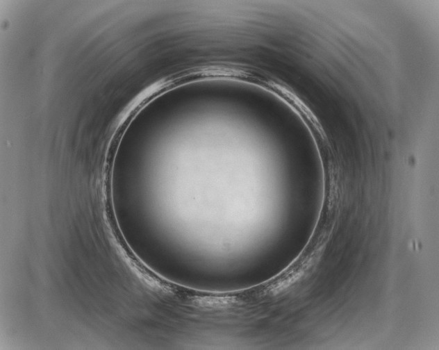 X0000086060853200703231240