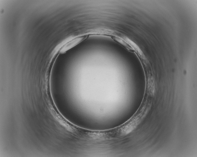 X0000086060854200703231240