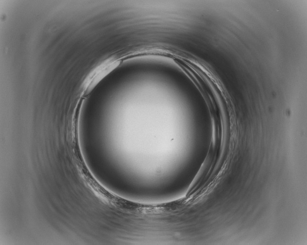 X0000086060858200703231240