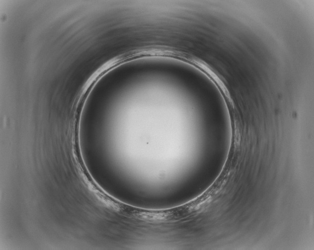X0000086060861200703231240
