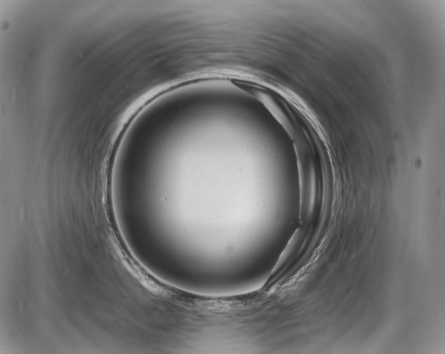 X0000086060862200703231240