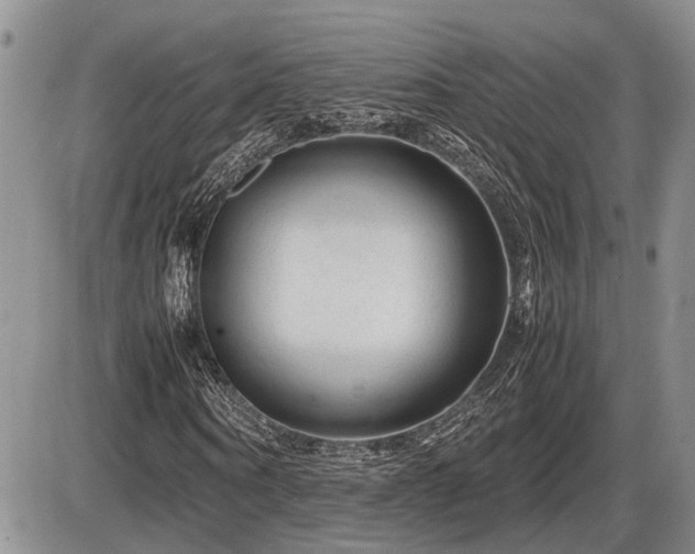 X0000086060866200703231239